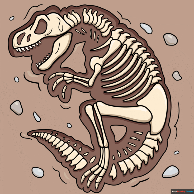 How to Draw a Fossil FEatured Image