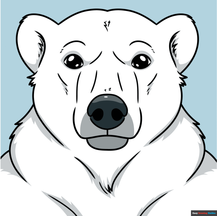 How to Draw a Polar Bear Head and Face Featured Image