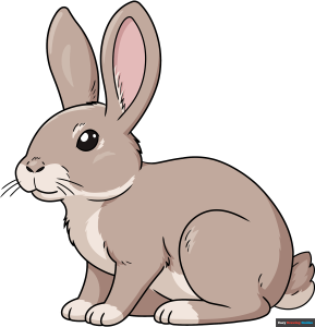 How to Draw an Easy Realistic Bunny Featured Image