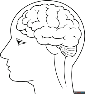 How to Draw a Brain Outline Featrued Image