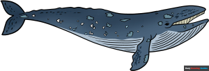How to Draw a Grey Whale Featured Image
