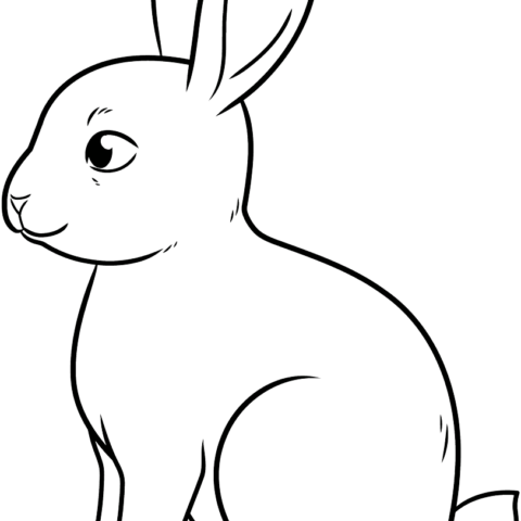 How to Draw an Easy Bunny Outline Featured Image