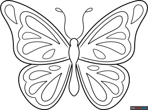 How to Draw an Easy Butterfly Outline Featured Image
