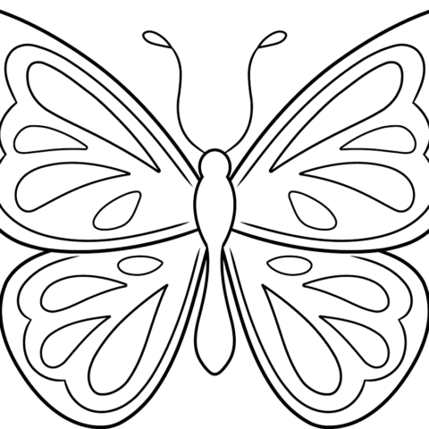 How to Draw an Easy Butterfly Outline Featured Image