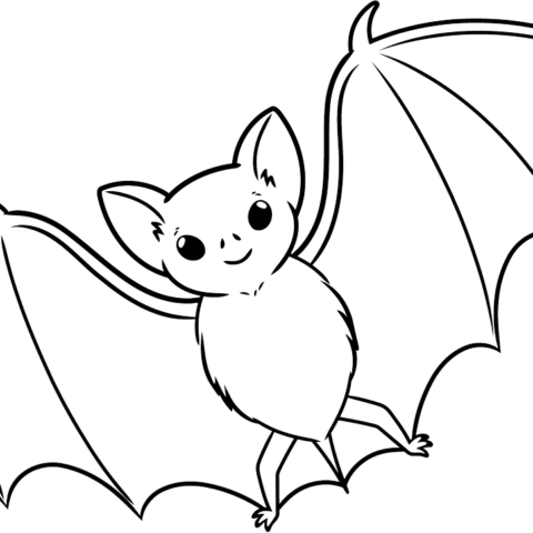 How to Draw a Bat Outline Featured Image