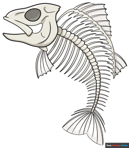 how to draw a fish skeleton featured image