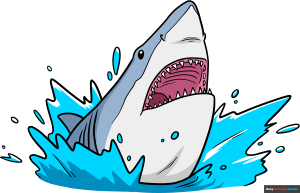 How to Draw a Shark Head Featured Image