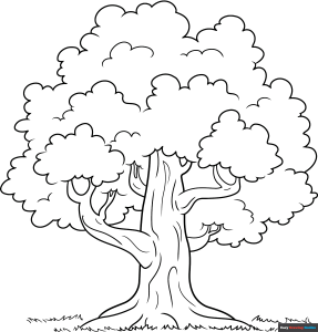 How to Draw a Tree Featured Image
