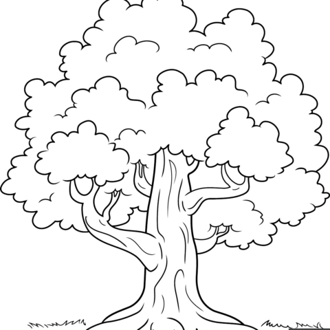 How to Draw a Tree Featured Image