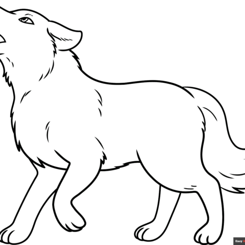 How to Draw a Wolf Outline Featured Image