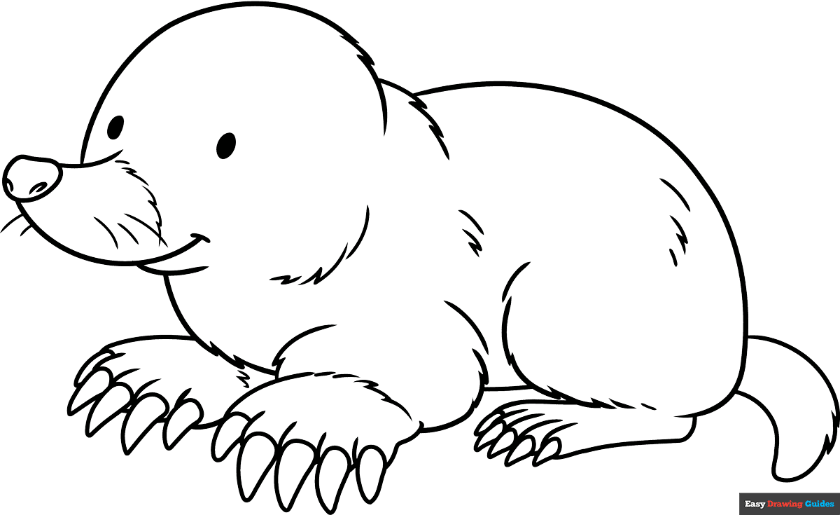 Mole Coloring Page Easy Drawing Guides