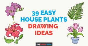 39 Easy House Plants Drawing Tutorials for Kids Featured Image