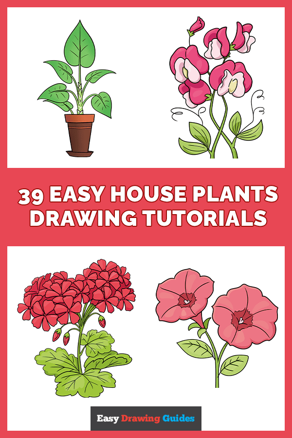 39 Easy House Plants Drawing Tutorials Pinterest Image