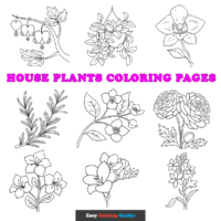 Free House Plants Coloring Pages for Kids - 42 Printable Sheets