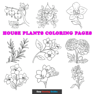 House Plants Coloring Pages for Kids featured image