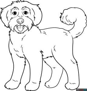 Free printable Labradoodle coloring page