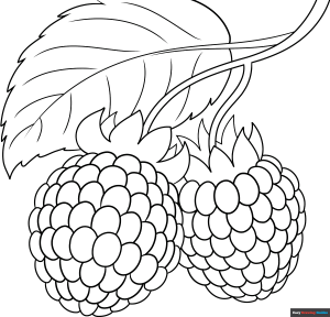 Free printable Raspberry coloring page