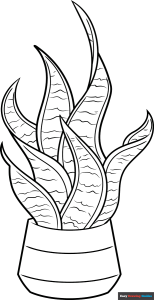 Free printable Snake Plant coloring page