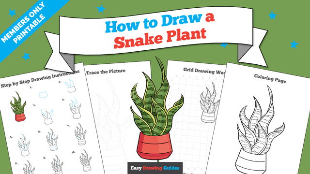 How to Draw a Snake Plant Printable Thumbnail