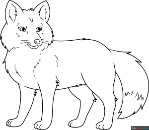 Free printable Red Fox coloring page