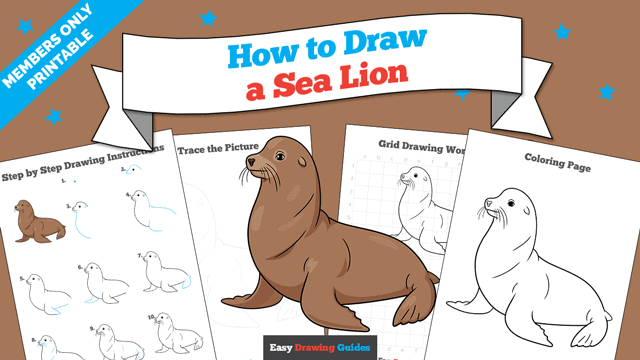 How to Draw a Sea Lion Printable Thumbnail