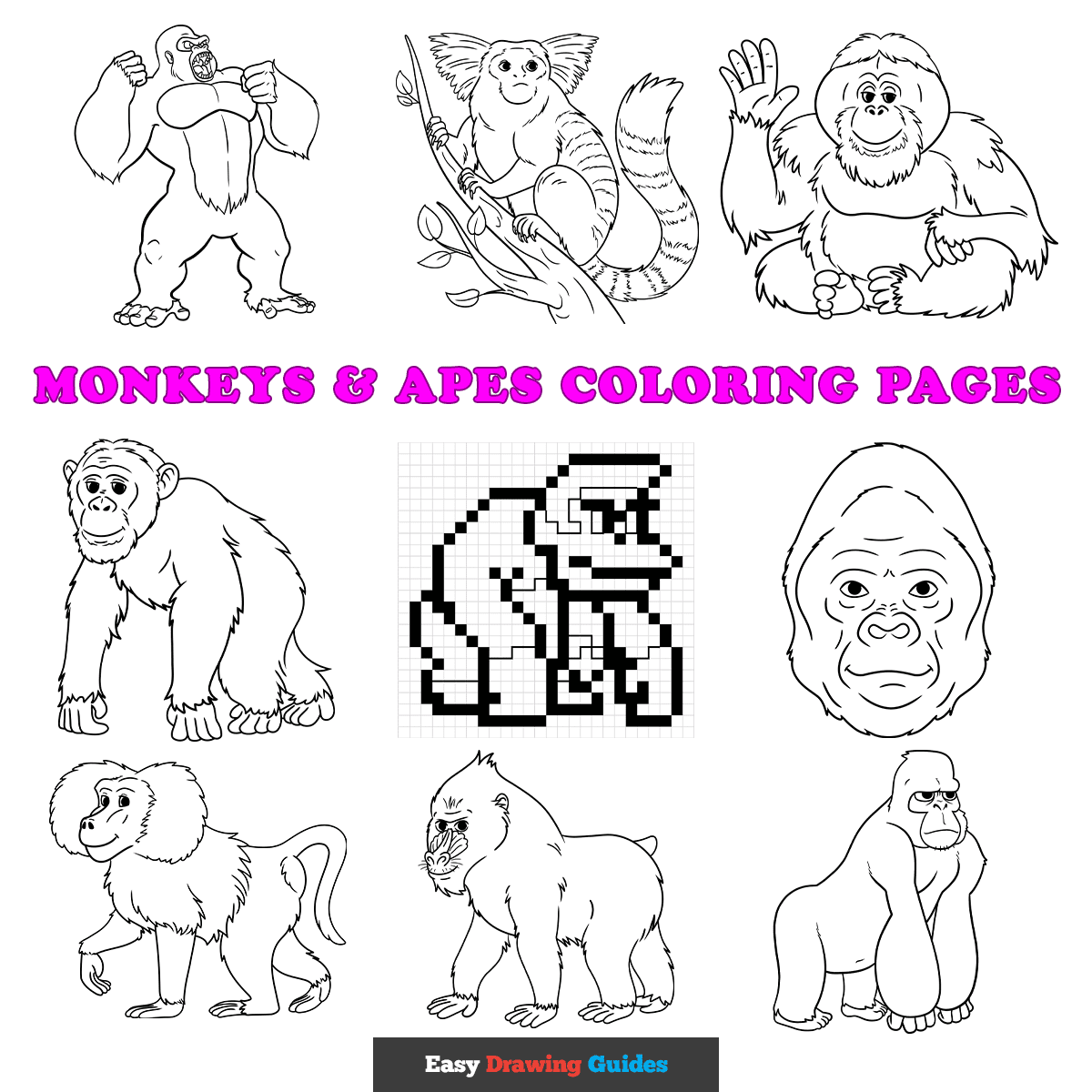 Easy Monkeys and Apes Coloring Featured Image