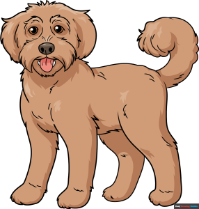 How to Draw a Labradoodle Featured Image