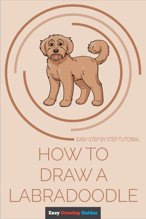 How to Draw a Labradoodle Pinterest Image