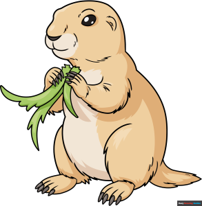 How to Draw a Prairie Dog Featured Image
