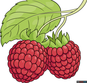 How to Draw a Raspberry Featured Image