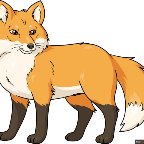 How to Draw a Red Fox Featured Image