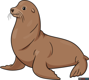How to Draw a Sea Lion Featured Image