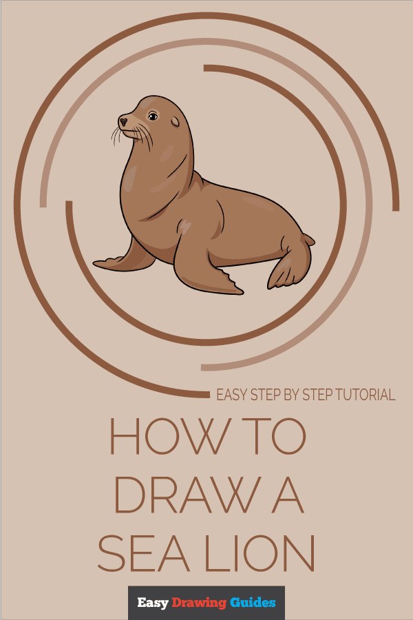 How to Draw a Sea Lion Pinterest Image