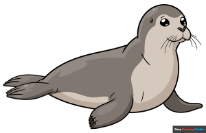 How to Draw a Seal Featured Image