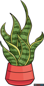 How to Draw a Snake Plant Featured Image
