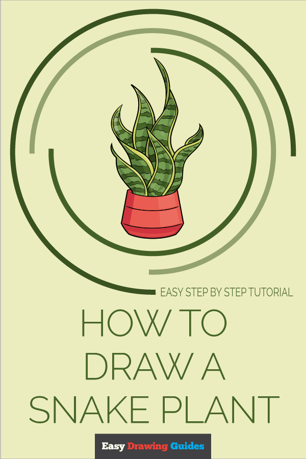 How to Draw a Snake Plant Pinterest Image