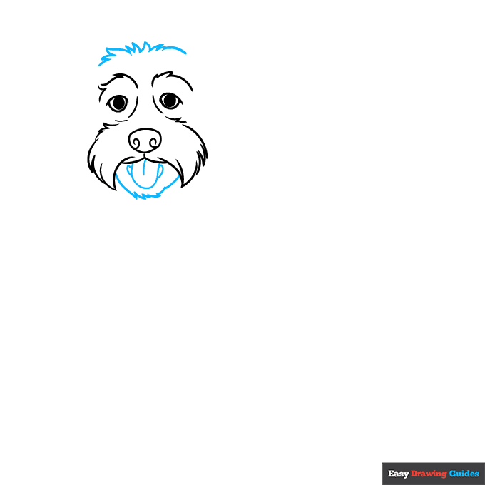 Labradoodle step-by-step drawing tutorial: step 3