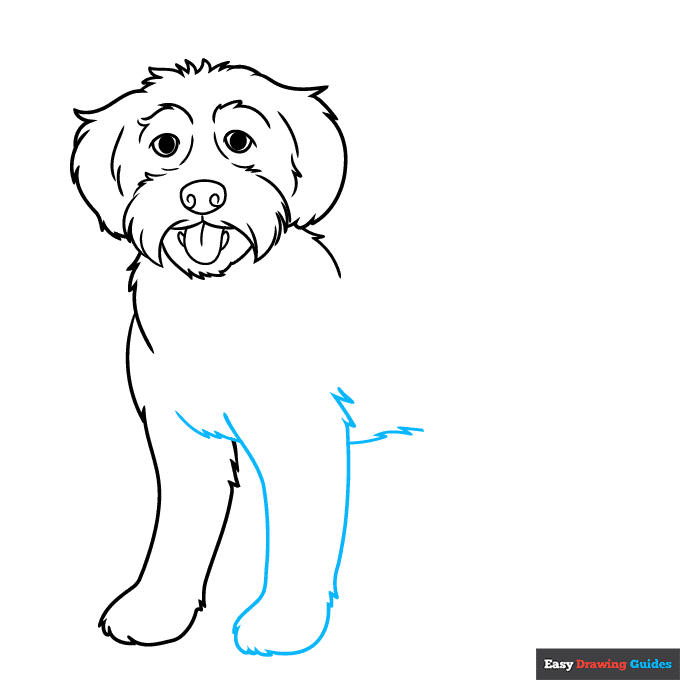 Labradoodle step-by-step drawing tutorial: step 6