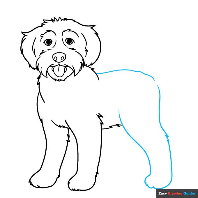 Labradoodle step-by-step drawing tutorial: step 7