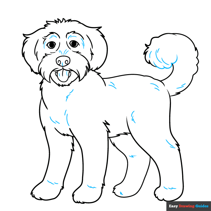 Labradoodle step-by-step drawing tutorial: step 9