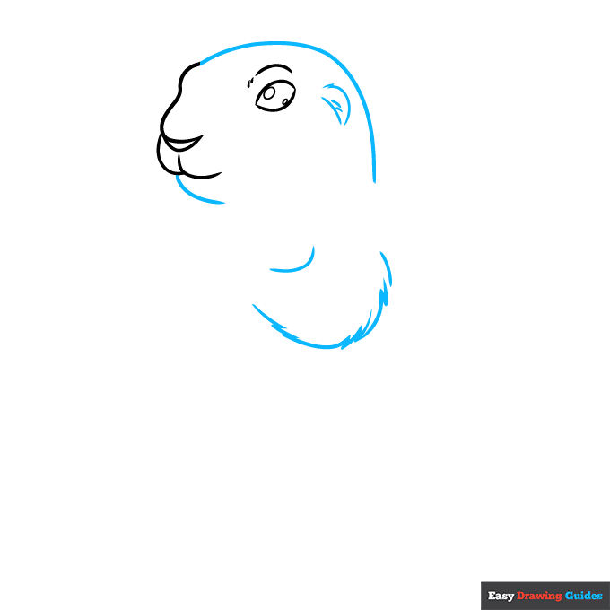 Prairie Dog step-by-step drawing tutorial: step 2