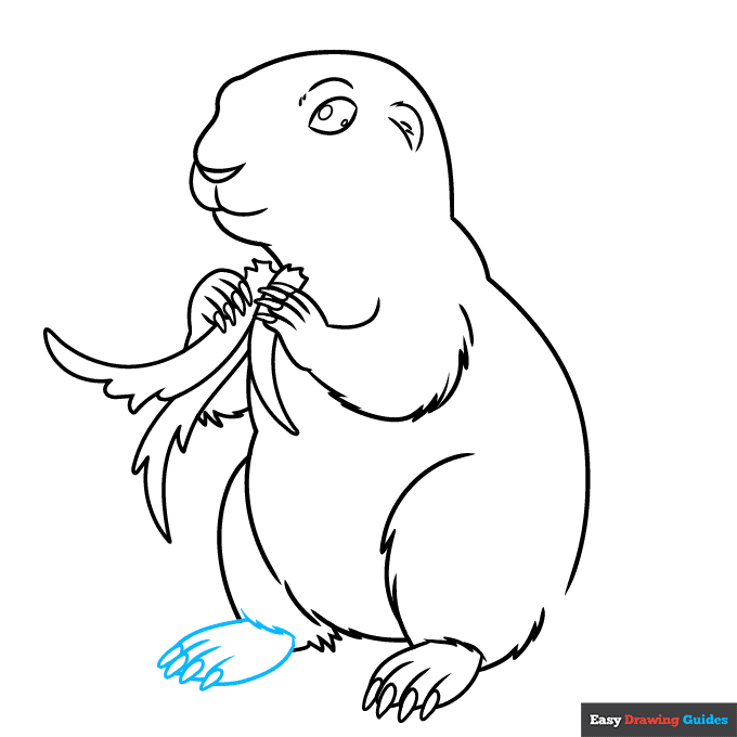 Prairie Dog step-by-step drawing tutorial: step 8