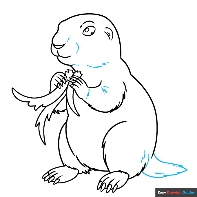 Prairie Dog step-by-step drawing tutorial: step 9
