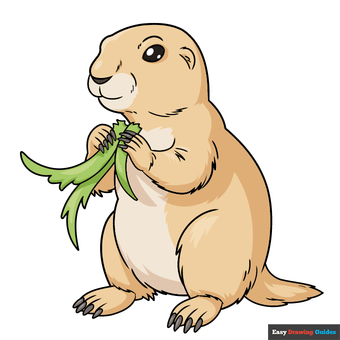 Prairie Dog step-by-step drawing tutorial: step 11
