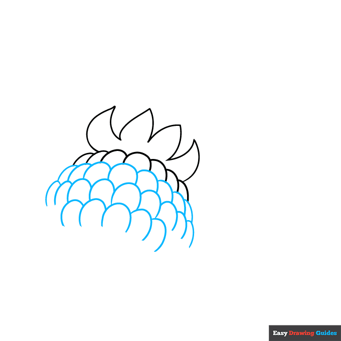 Raspberry step-by-step drawing tutorial: step 2