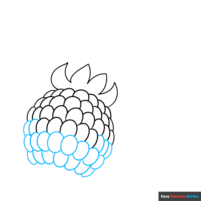 Raspberry step-by-step drawing tutorial: step 3