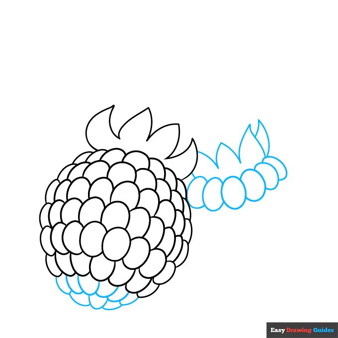Raspberry step-by-step drawing tutorial: step 4