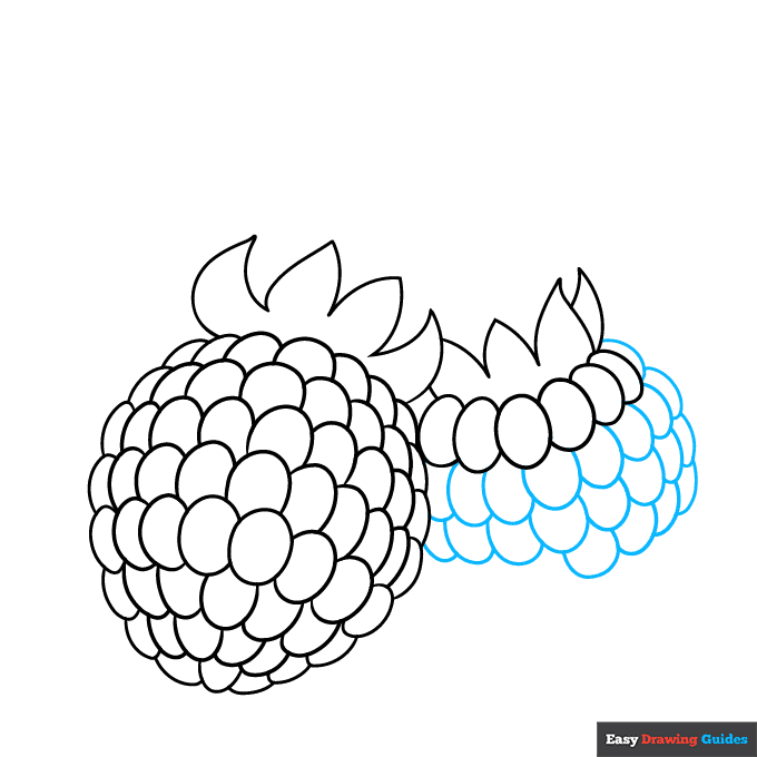 Raspberry step-by-step drawing tutorial: step 5