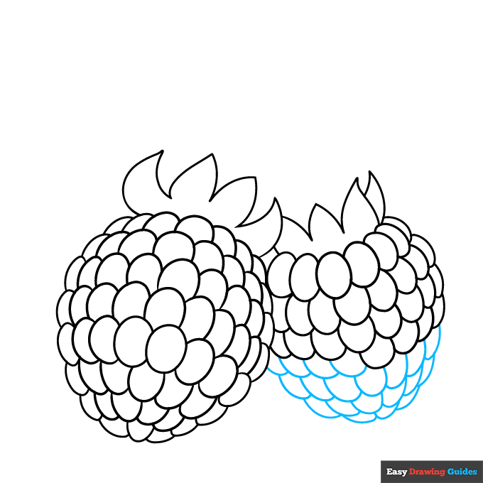Raspberry step-by-step drawing tutorial: step 6