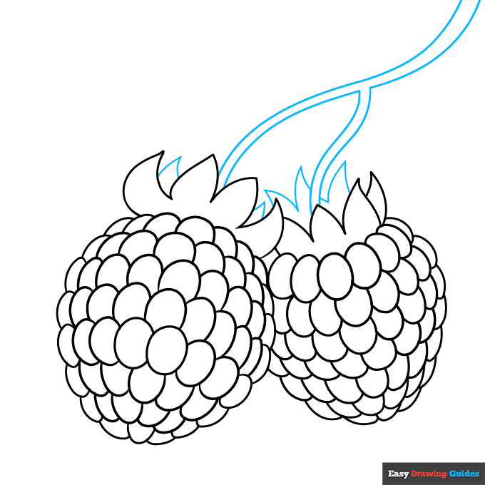 Raspberry step-by-step drawing tutorial: step 7